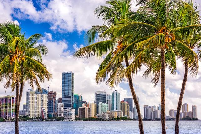 Cómo crear un negocio en Miami: consejos para extranjeros | El Nuevo Herald Cómo crear un negocio sin perder tiempo ni dinero y obtener un estatus legal en EEUU