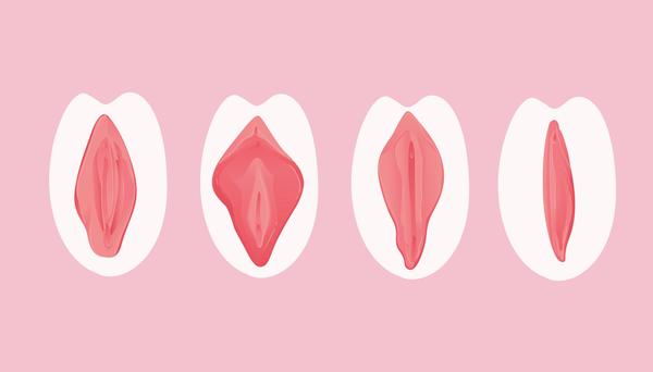 12 tips para tener una vulva joven y saludable siempre