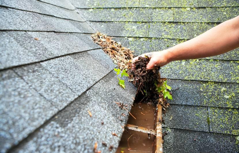House: How to perpetuate your roof?