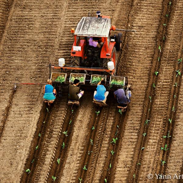 Sociologie Loin de «l’éternel paysan», la figure très paradoxale de l’agriculteur français 