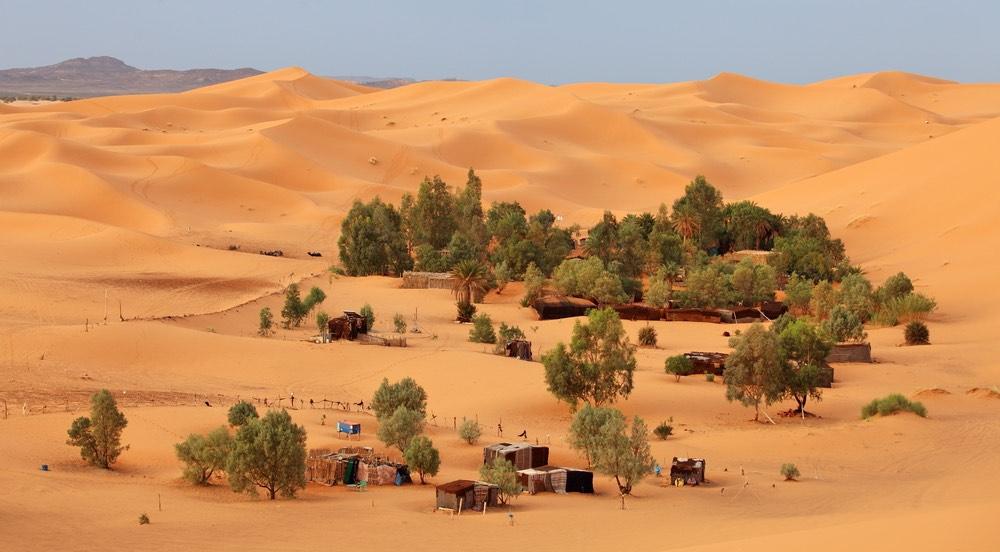 Cómo se descubrió un bosque tan grande como la Península Ibérica en el desierto del Sáhara 