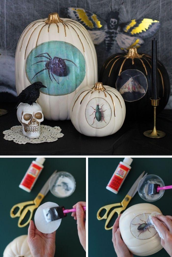 96 projects to make a pumpkin decoration of autumn or halloween