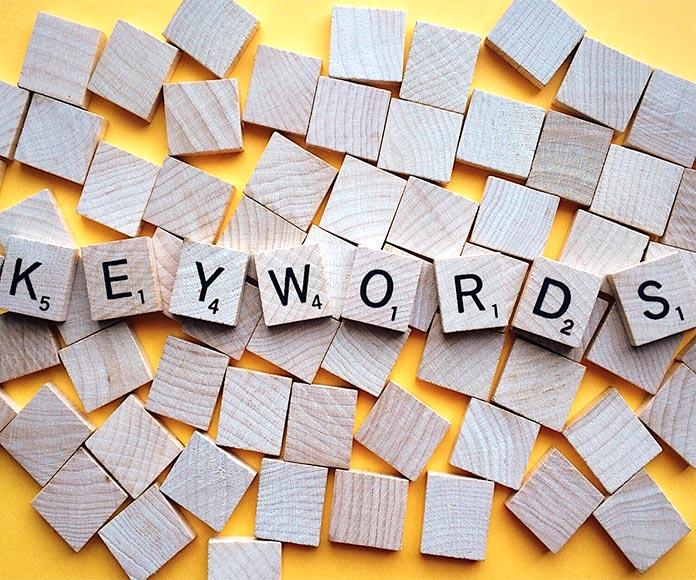 Examples of keywords: what are they, what are they use and how to find key SEO terms and in text analysis