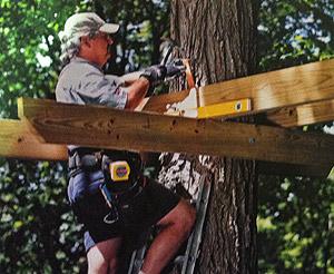 Comment construire une cabane dans un arbre ?