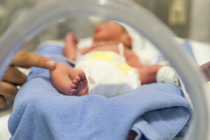 Cuidados para la frágil salud de los bebés prematuros 