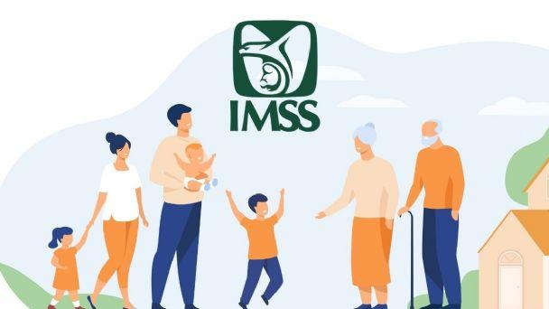 IMSS 2022 Pension: can you earn the payment with Mode 40?