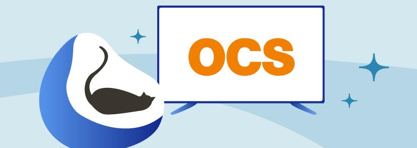 Chaînes OCS TV : comment y accéder et quels sont les programmes disponibles ?