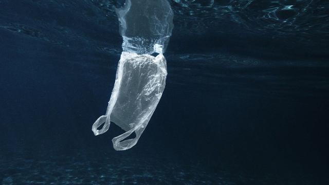 The amount of plastic in the oceans is expected to triple by 2040