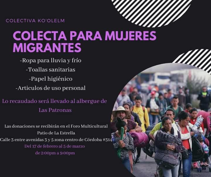 Colectiva Ko´olelm hace colecta para apoyar a mujeres migrantes | Testigo Púrpura