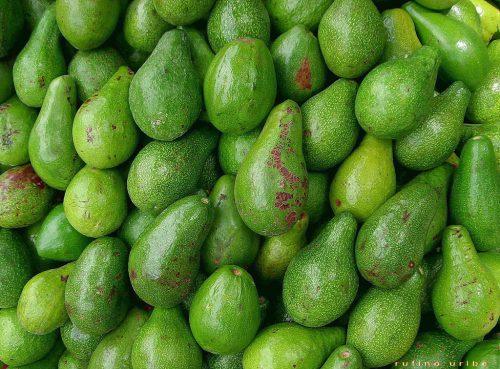 El bagel de aguacate más caro cuesta 2.95 millones de dólares