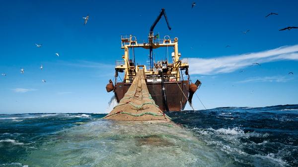 Las autoridades esperan acabar con la pesca ilegal de langostas y proteger a los pescadores comerciales locales 