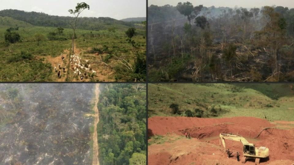La Nación La Amazonía, castigada y al borde del abismo 