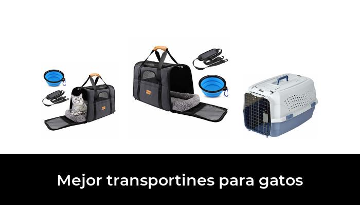 47 Best Cat Transport in 2021: According to experts