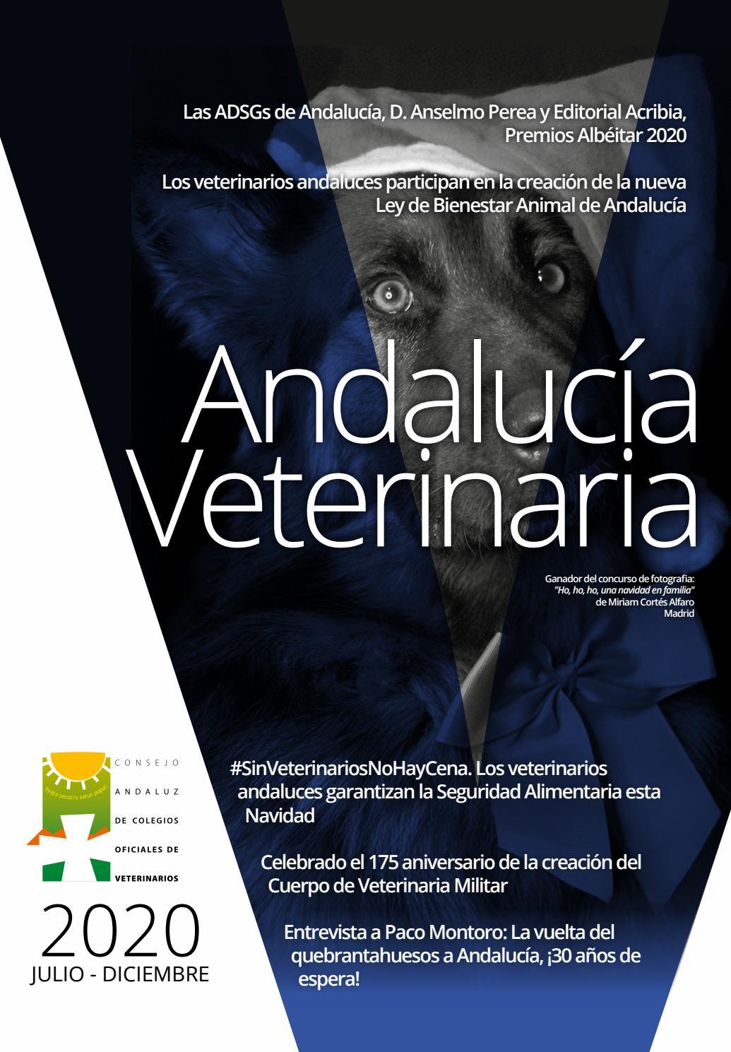 Ofrecen servicios veterinarios gratis a desempleados afectados por la crisis del coronavirus en Madrid 