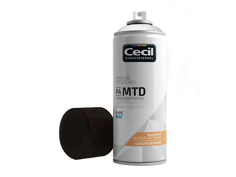Solutions pour rénover des murs tachés par la moisissure ou l'humidité : peinture en aérosol PA MTD, impression IP TD et peinture PE MTE 