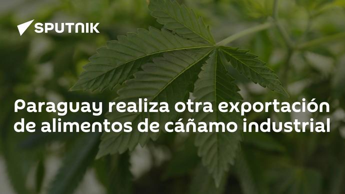 Paraguay achieves first export of non -psychoactive cannabis