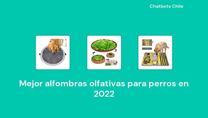 Mejor alfombras olfativas para perros en 2022: 48 Mejores Opciones 