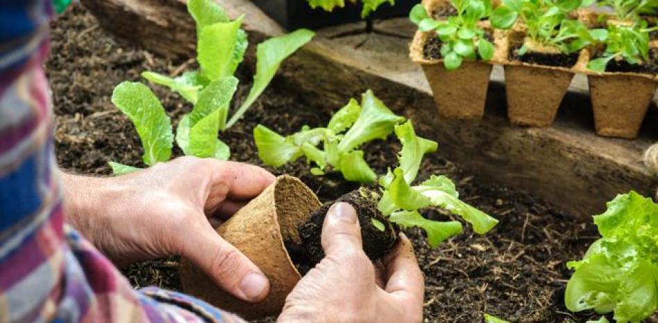Las herramientas de jardín que resolverán el mantenimiento de tu huerto urbano 
