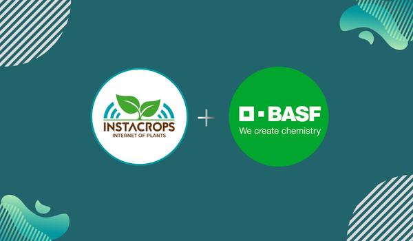 Startup chilena Instacrops concreta acuerdo con gigante mundial, BASF