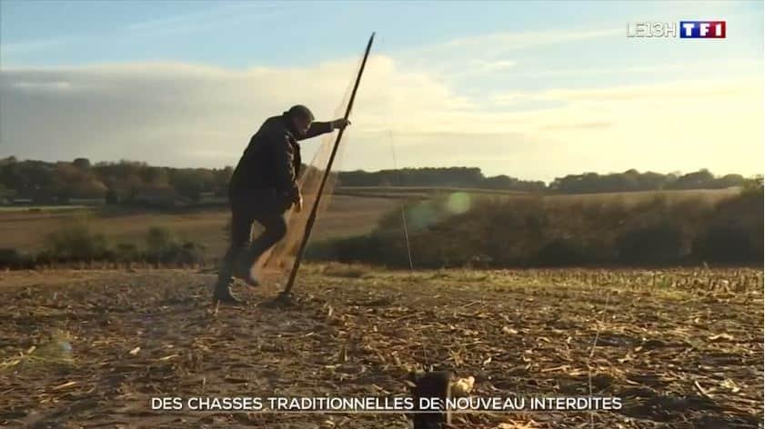 « C’est la douche froide, on ne peut plus chasser », TF1 interroge un chasseur traditionnel LA NEWSLETTER HEBDOMADAIRE DE CHASSONS.COM