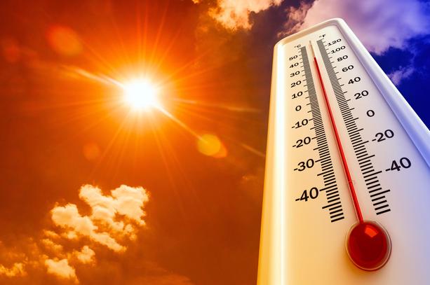 Heat wave: Tips for saving electrical energy - Nexofin
