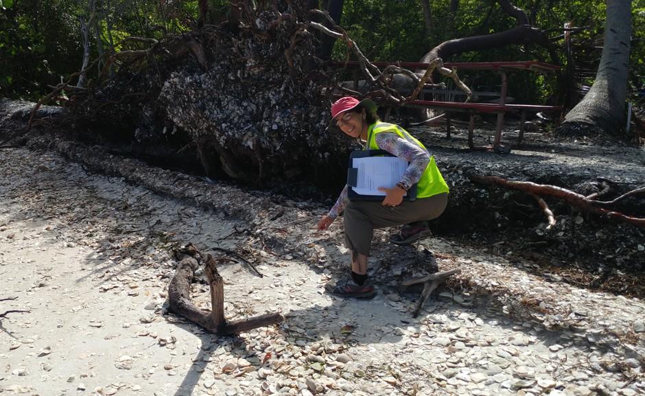 Las desconocidas riquezas arqueológicas que Miami podría perder frente al aumento del nivel del mar 