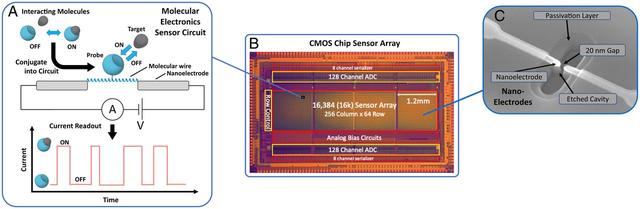 Molecular electronics sensors on a scalable semiconductor chip: A platform for single-molecule measurement of binding kinetics and enzyme activity | PNAS 