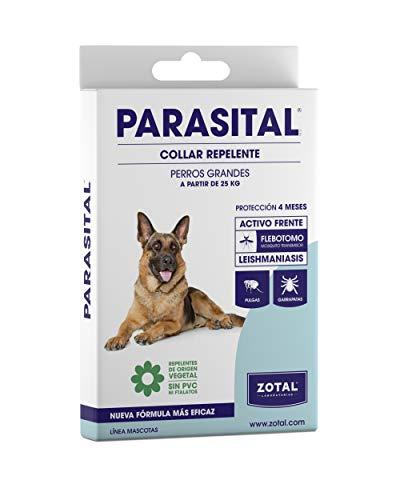The 30 best internal antiparasitic dogs: the best review of internal antiparasitic dogs
