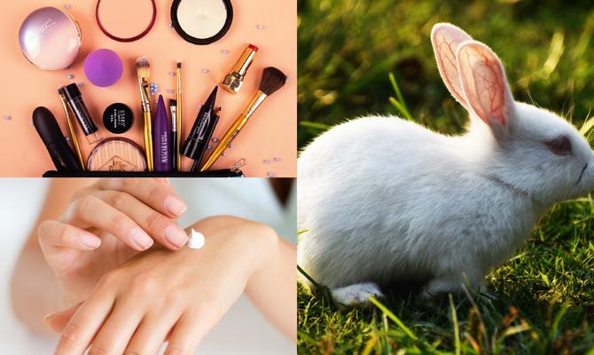 Productos "cruelty free": estas son las marcas chilenas y extranjeras que no testean en animales