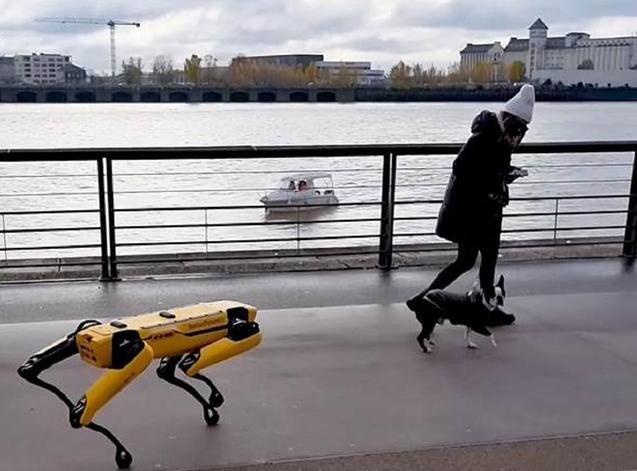 Quel est cet étrange robot qui s'est promené sur les quais de Bordeaux ? 