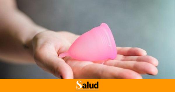 Menstrual cup, pad or menstrual panty, which is the best option? 
