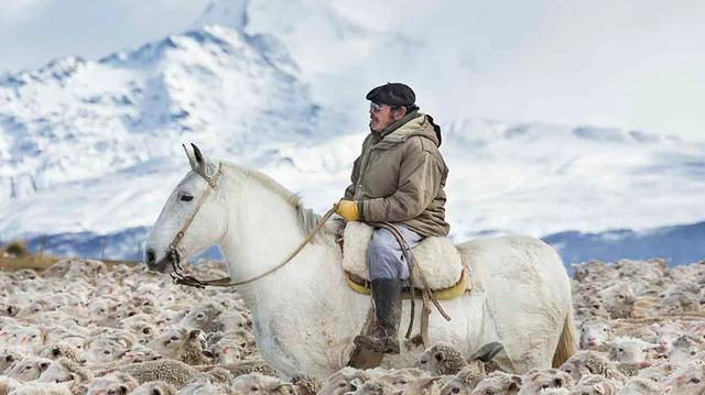 Soledad, trabajo y nieve: la vida del tropero patagónico retratada en un documental