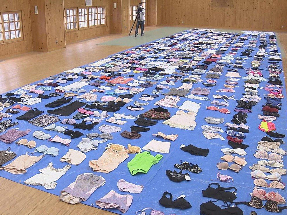 They arrested him for stealing more than 700 intimate garments from a laundry