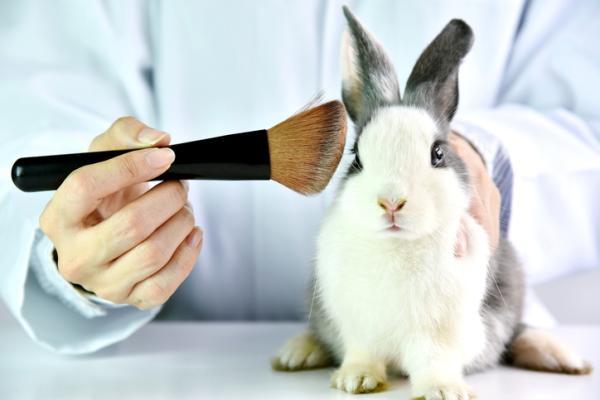  Cómo saber si un producto se ha testado en animales 