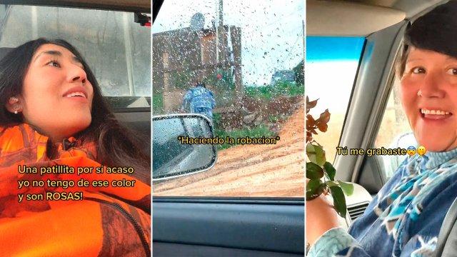 Mujer de región del Ñuble se vuelve viral en TikTok por "robar" patilla de una rosa