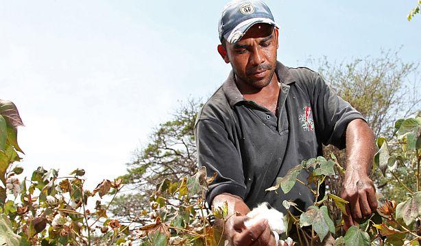 Restituyen 230 hectáreas de tierra a familias desplazadas en Cesar