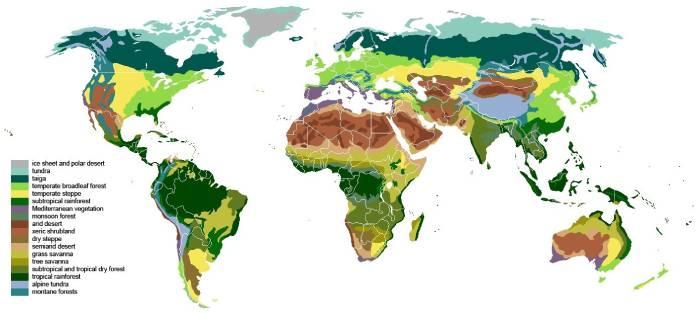 Tipos de biomas: clasificación, características, ejemplos y mapamundi de biomas del mundo 