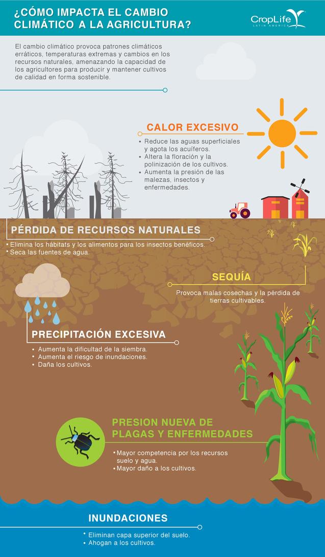 Cómo mitigar el cambio climático desde la agricultura 