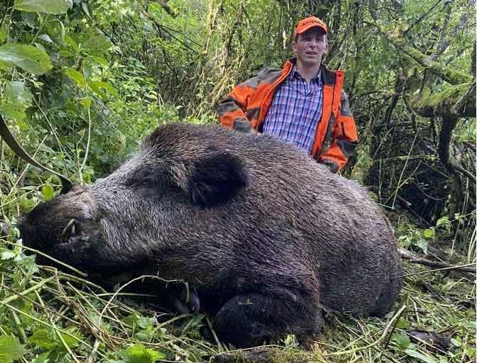 Pierre, 19, takes a 172 kg boar from the stop of his drahthaar The weekly Chassons.com newsletter