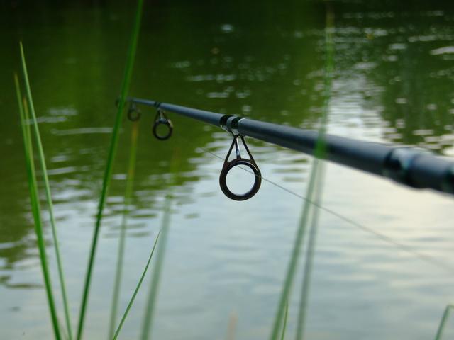 Carp fishing for beginners: how to choose the right rod for carp fishing?