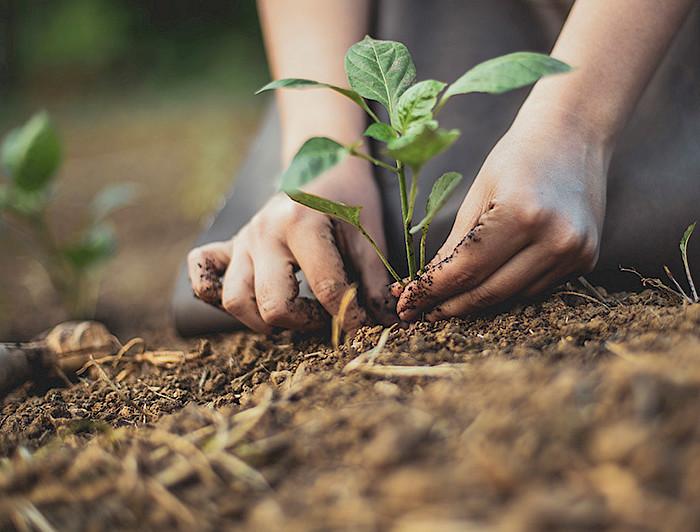 Por un futuro sostenible y biodiverso 