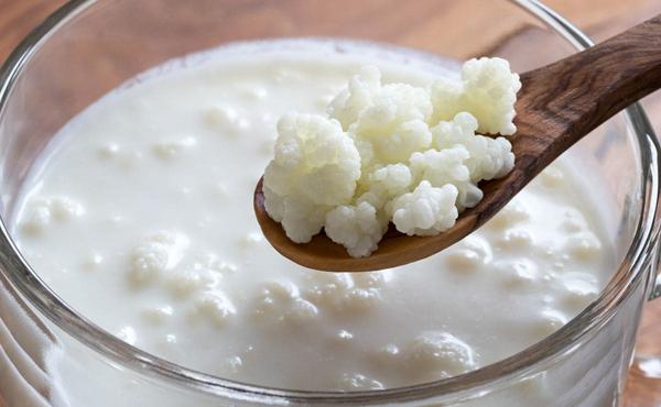 These are the contraindications of consuming kefir