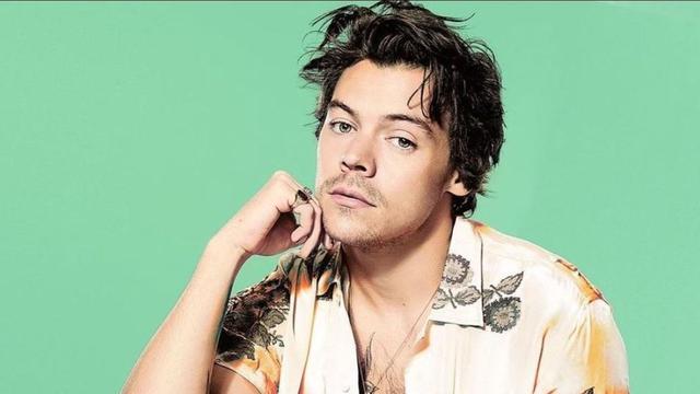 Harry Styles, "Gender Fluid" icon, will shoot gay love scenes for a film