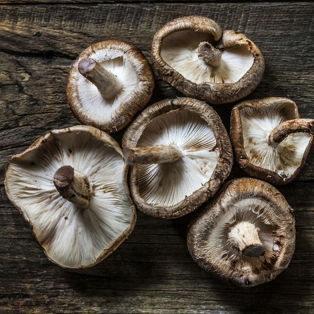 Why mushrooms will be a superpower food in 2022