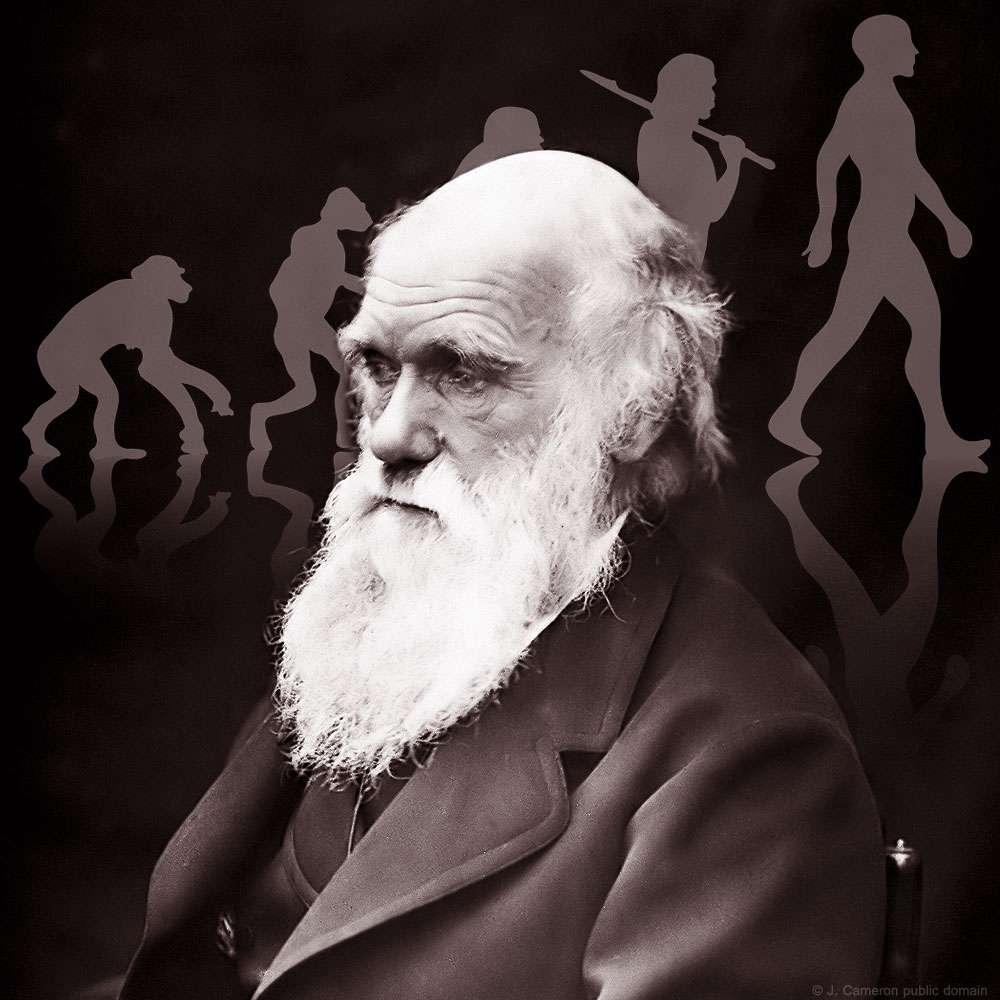 Biography |Charles Darwin - Biologist and naturalist |Futura Health
