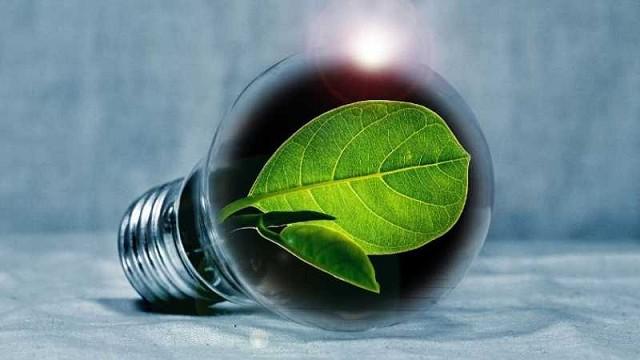 Sustainable startups that innovate from the how