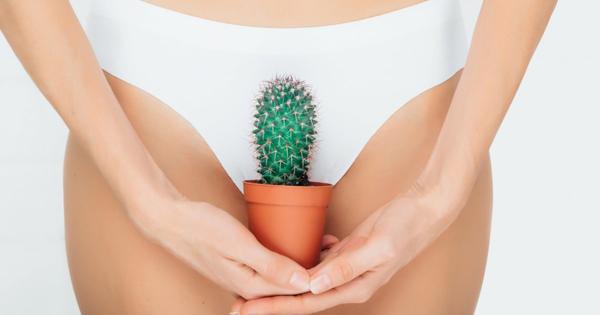 Vulva, vagina: itching, inflammation, burning, what are the causes?