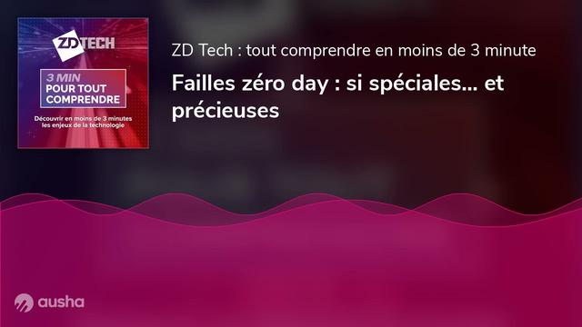 ZD Tech : Failles zero-day, si spéciales et précieuses 