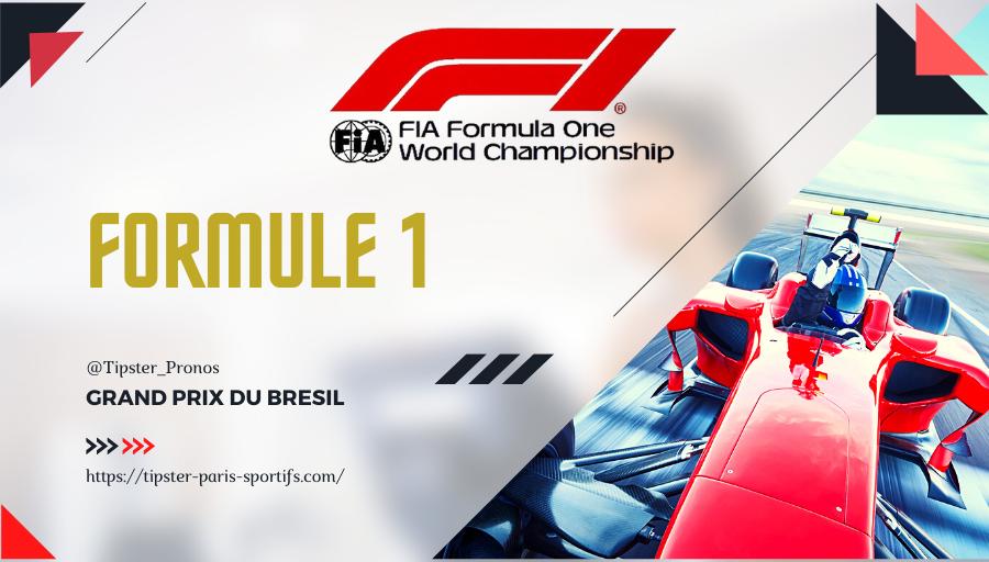 Pronostic Grand Prix du Brésil 14/11/2021 Formule 1 