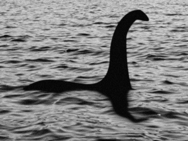 Heeft vlogger Monster van Loch Ness gefilmd met drone? | Het Nieuwsblad 